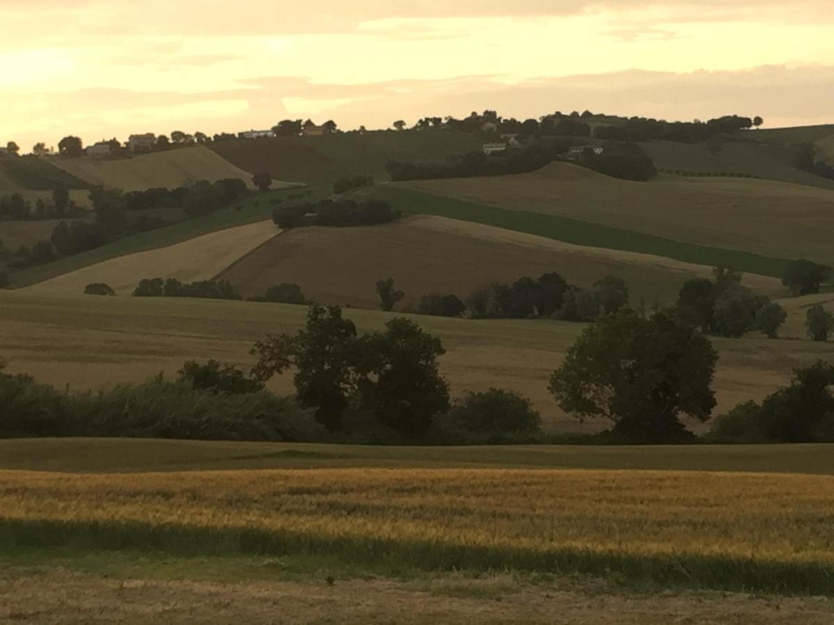 Il Giardino Nella Valle Belvedere Ostrense Exterior foto