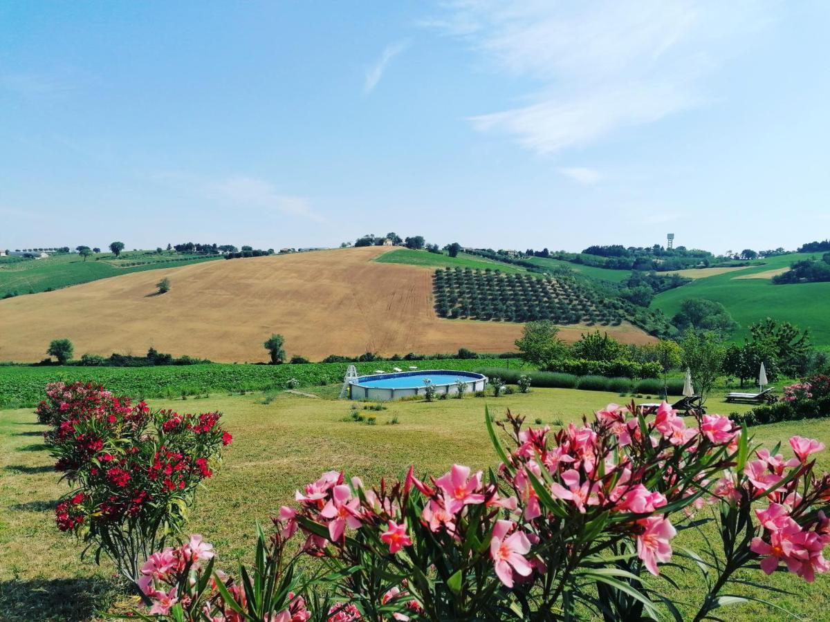 Il Giardino Nella Valle Belvedere Ostrense Exterior foto