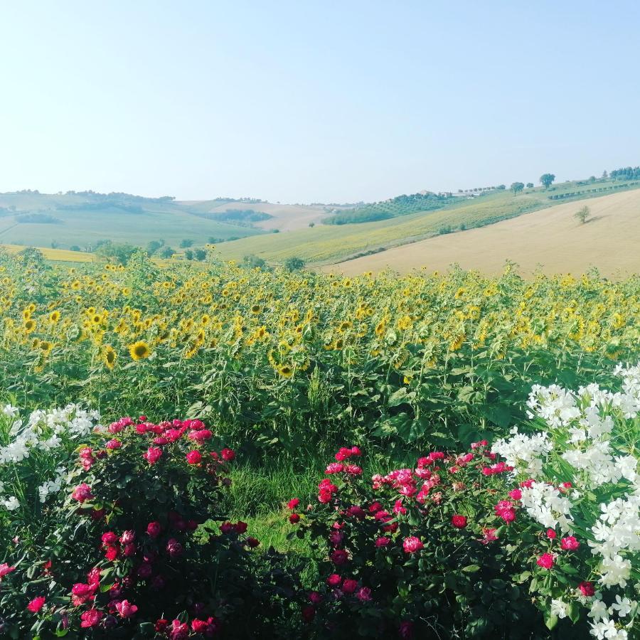 Il Giardino Nella Valle Belvedere Ostrense Exterior foto
