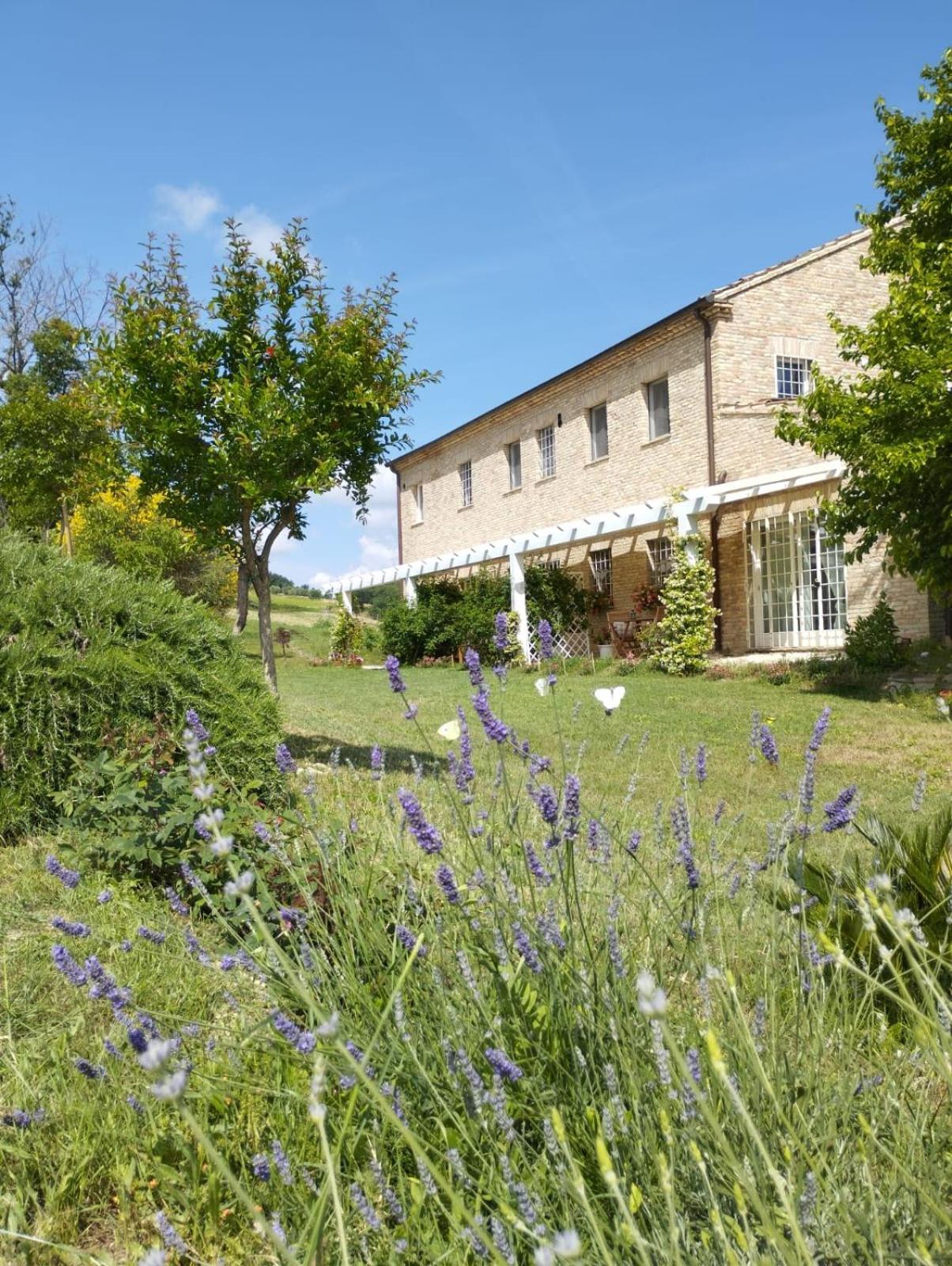 Il Giardino Nella Valle Belvedere Ostrense Quarto foto