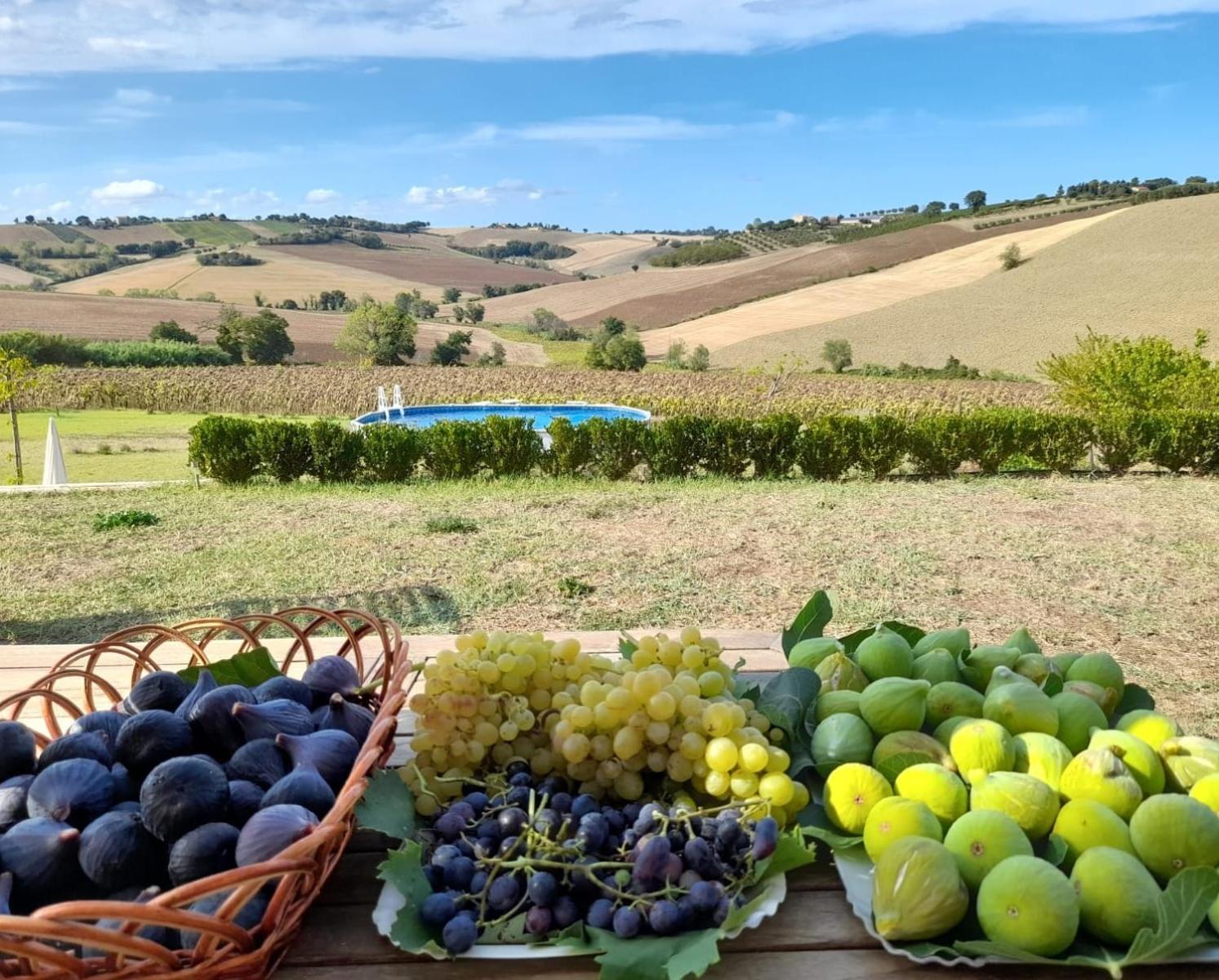 Il Giardino Nella Valle Belvedere Ostrense Exterior foto
