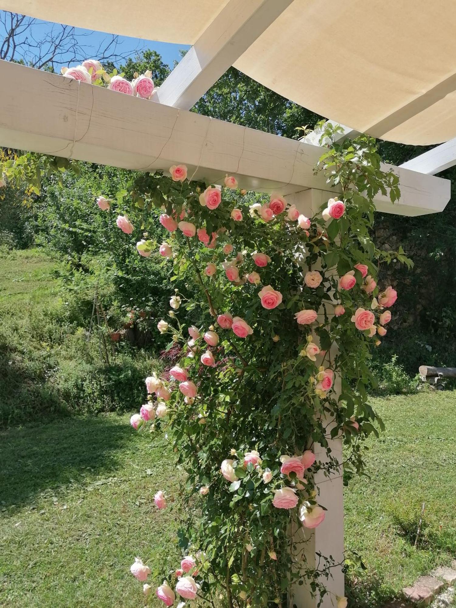 Il Giardino Nella Valle Belvedere Ostrense Exterior foto